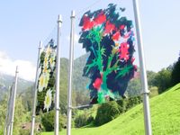 Blumenbilder I auf Acrylglas in den Schweizer Alpen