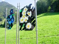 Blumenbilder II auf Acrylglas in den Schweizer Alpen