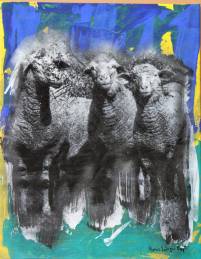 Schafe Siebdruck blau gr&uuml;n schwarz Hans Juergen Vogt L&ouml;rrach Kunst